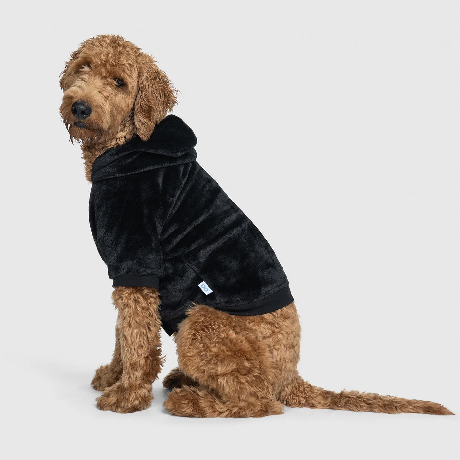 All Black - Image 4
